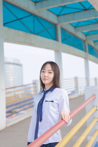 爱上查美乐 电视剧