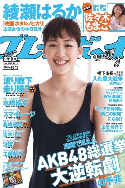 戴格米尔
